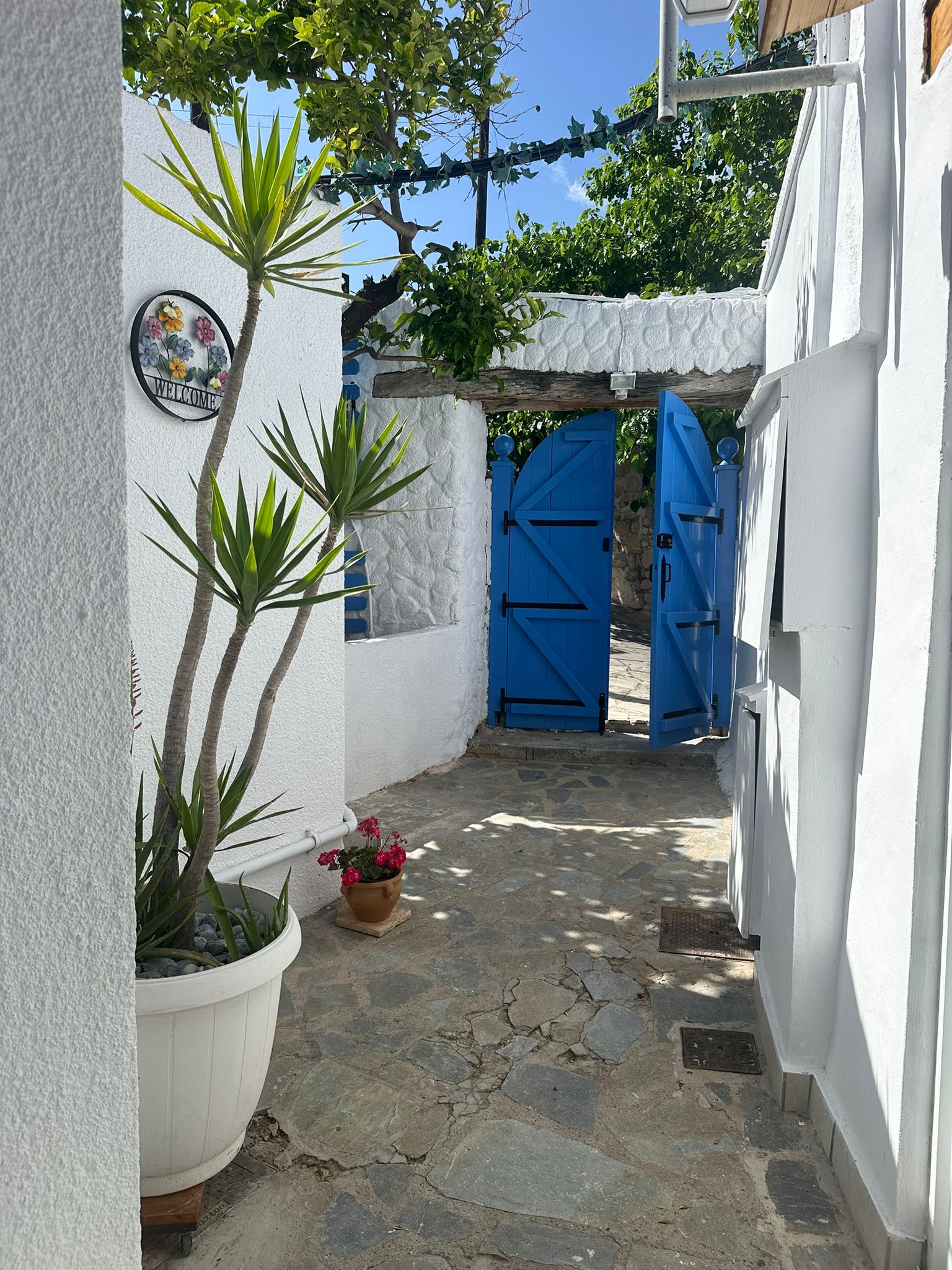 A sunny stone courtyard with white walls, potted plants, and an open blue wooden gate.