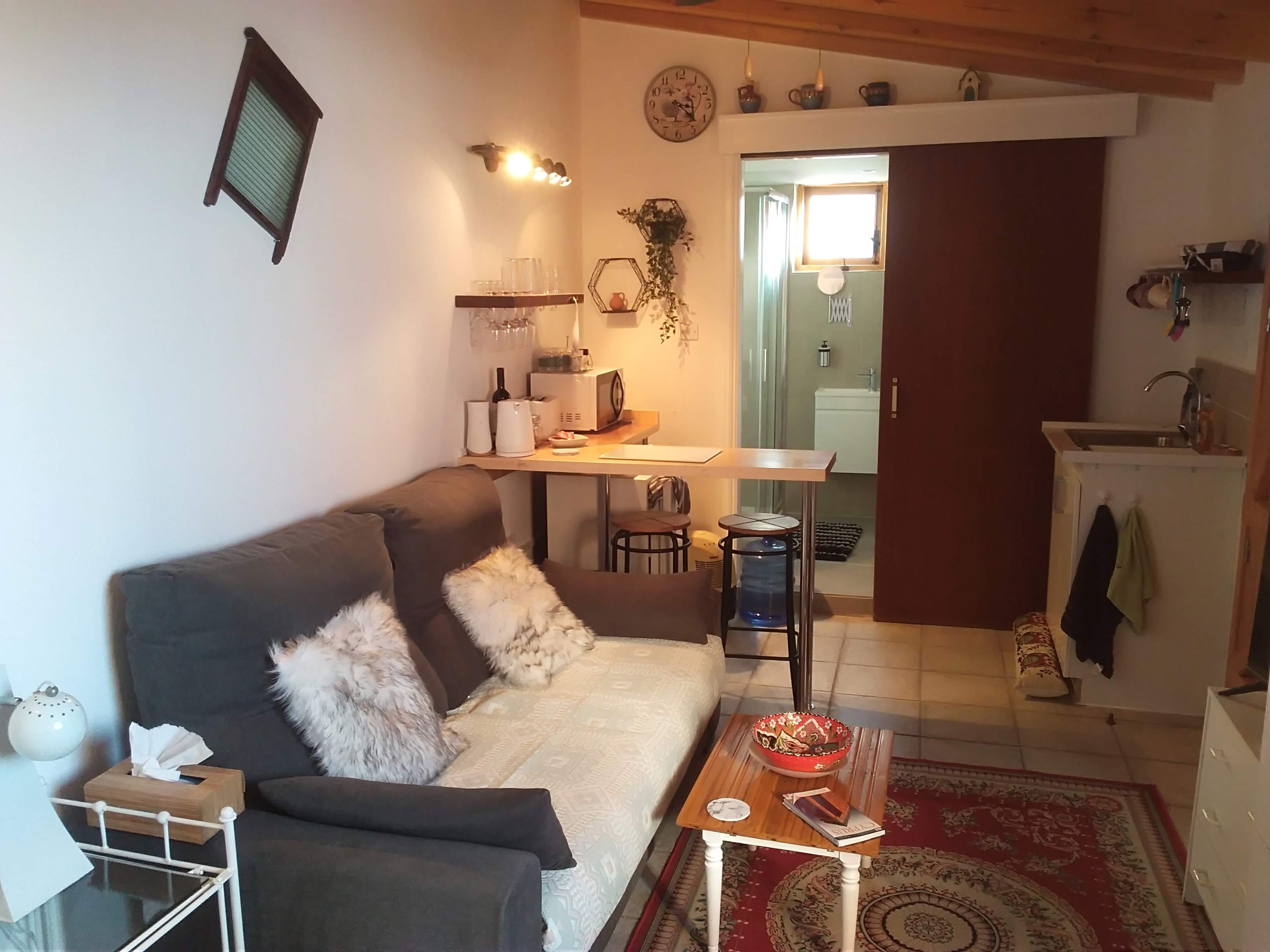 A grey sofa and coffee table in the studio, with a breakfast bar and bathroom doorway beyond.
